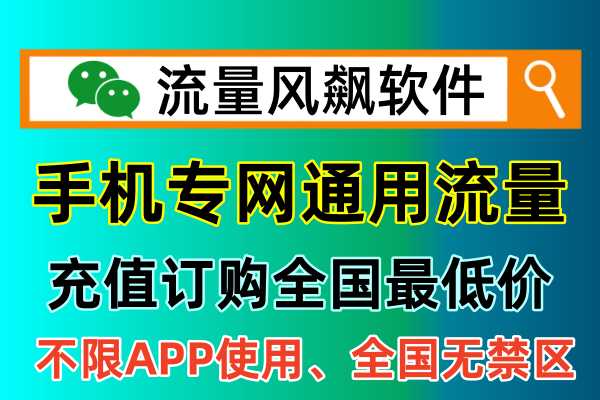 手机专网流量包充值，2024年流量风飙软件属于全国最低价在线订购平台